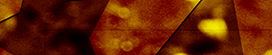 Generic Orange