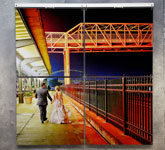 ChromaLuxe Metal Panels