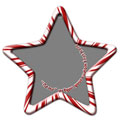 Ceramic Star 3