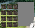 Calendar 8x10 H