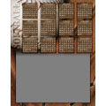 Calendar 8x10 V