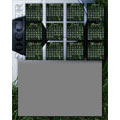 Calendar 8x10 V