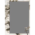 Wallet Frame