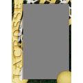Wallet Frame