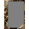 Wallet Frame